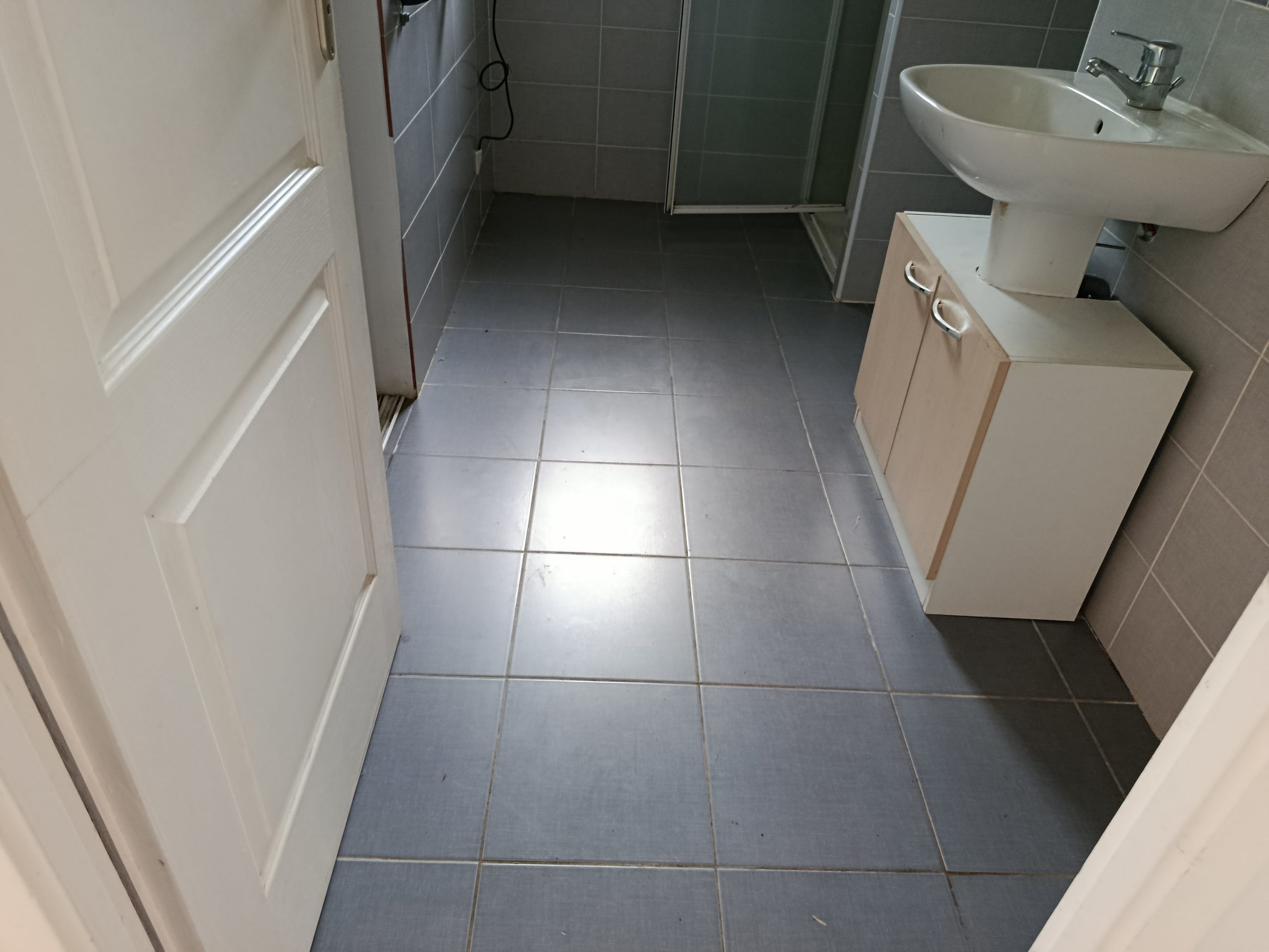 Avant — Salle de bains grise